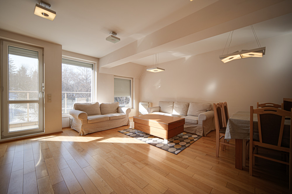 Spacious two-bedroom apartment near South Park for rent