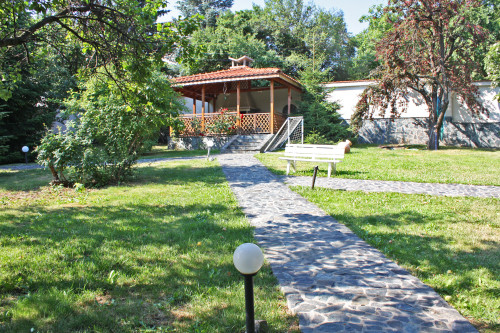 Image 4