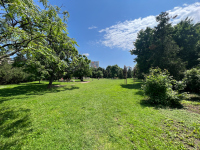 Image 30