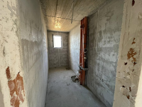 Image 14