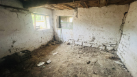 Image 14