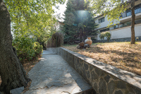 Image 10