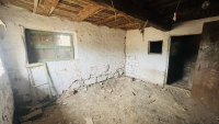Image 15