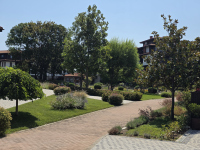 Image 19