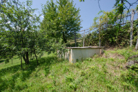 Image 29