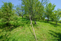 Image 33