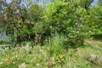Image 34