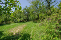 Image 35
