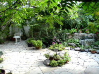 Image 6